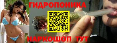 гашик Канаш