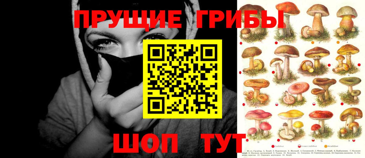 Галлюциногенные грибы ЛСД  Вход с VPN  Галлюциногенные грибы GOLDEN TEACHER  Красноармейск 