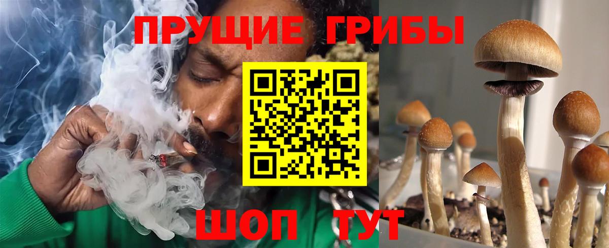 Галлюциногенные грибы GOLDEN TEACHER Красноармейск
